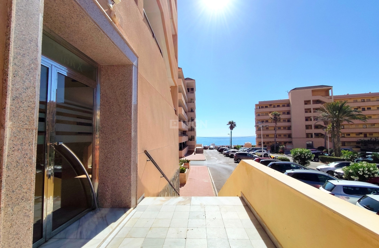 Odsprzedaż - Mieszkanie w bloku - Torrevieja - Costa Blanca