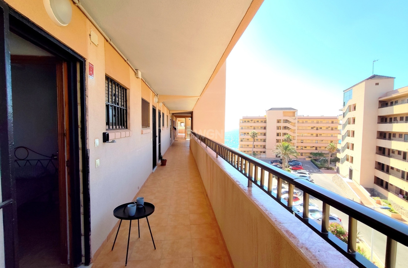 Odsprzedaż - Mieszkanie w bloku - La Mata - Costa Blanca