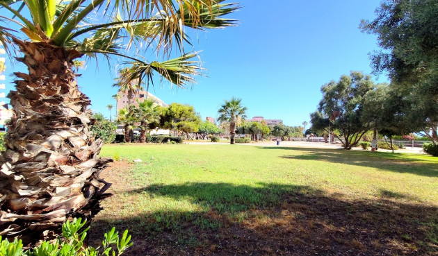 Odsprzedaż - Mieszkanie w bloku - La Mata - Costa Blanca