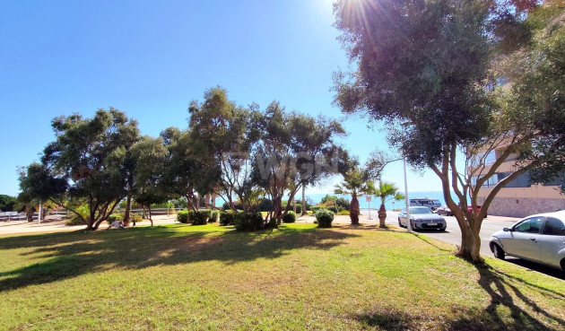 Odsprzedaż - Mieszkanie w bloku - La Mata - Costa Blanca