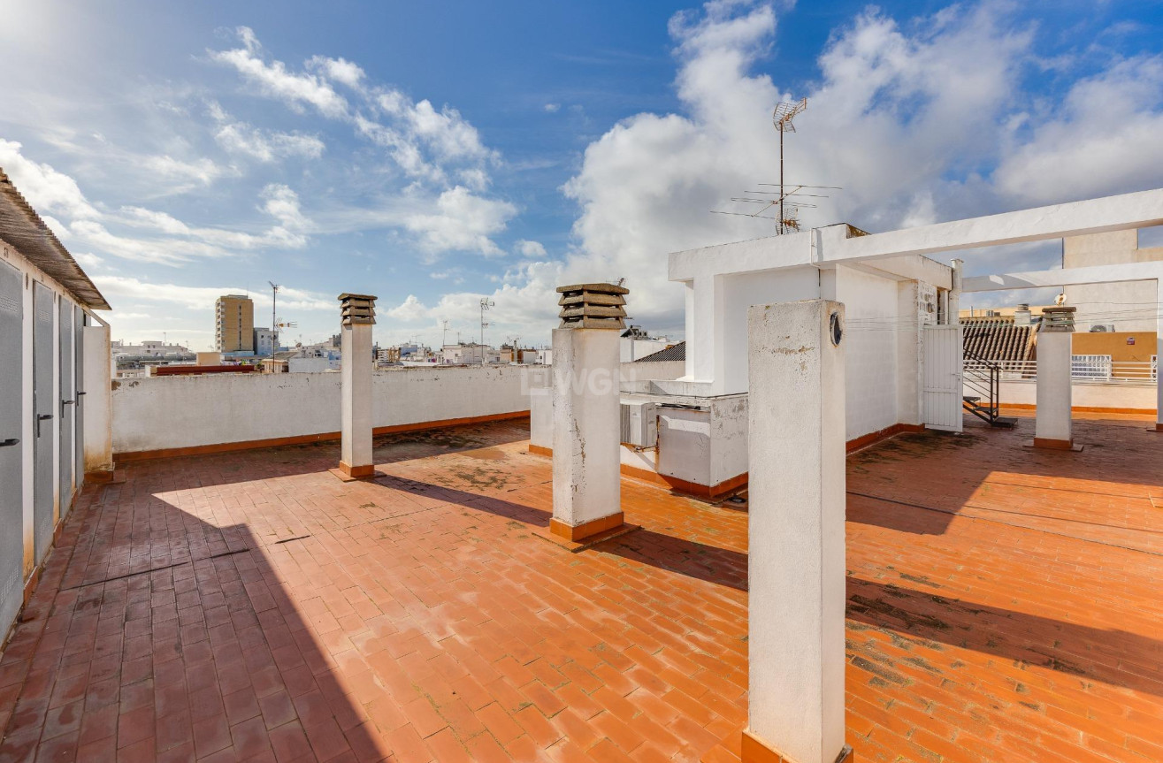 Odsprzedaż - Daszek - Torrevieja - Paseo Maritimo