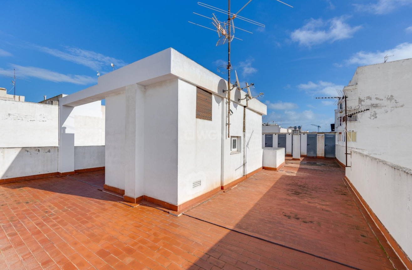 Odsprzedaż - Daszek - Torrevieja - Paseo Maritimo