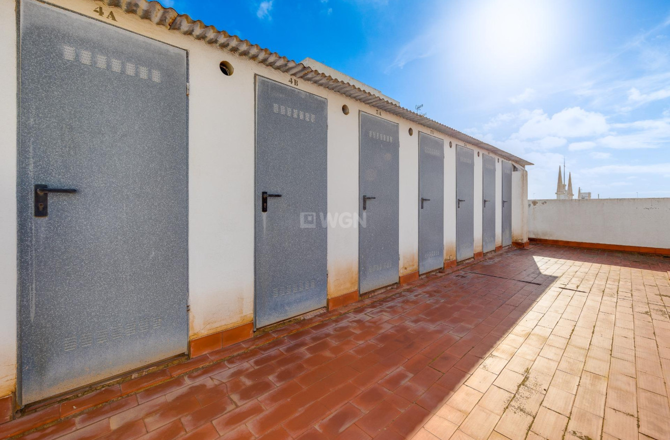 Odsprzedaż - Daszek - Torrevieja - Paseo Maritimo
