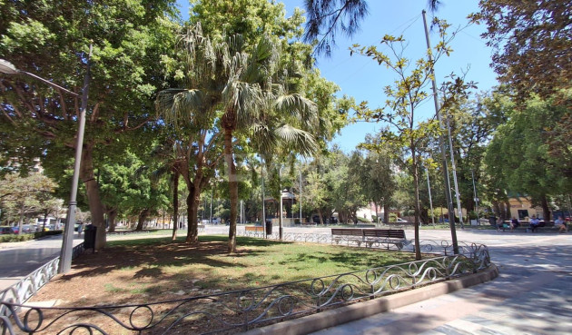 Odsprzedaż - Mieszkanie w bloku - Orihuela - Zona Centro