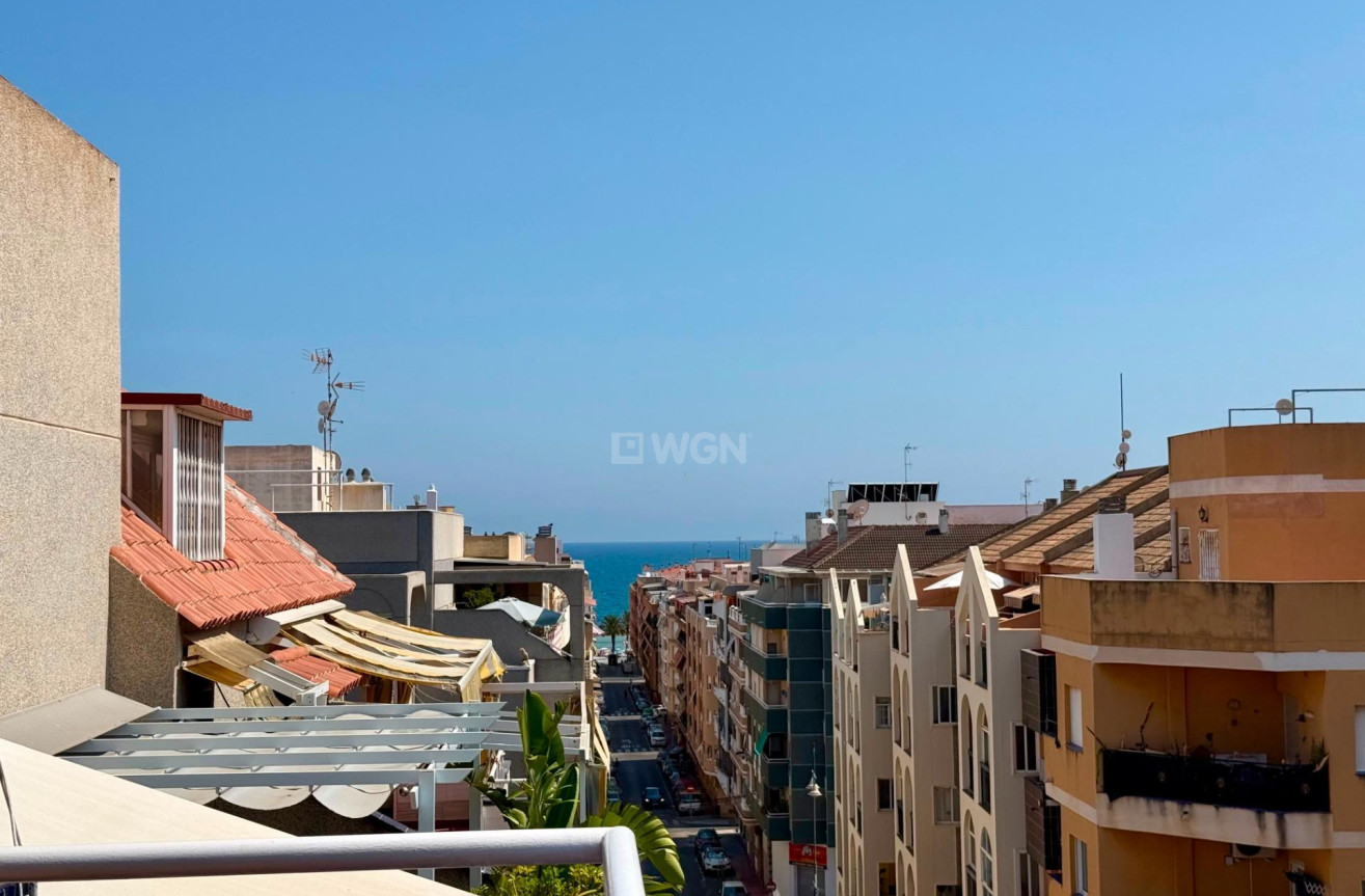 Odsprzedaż - Daszek - Torrevieja - Habaneras