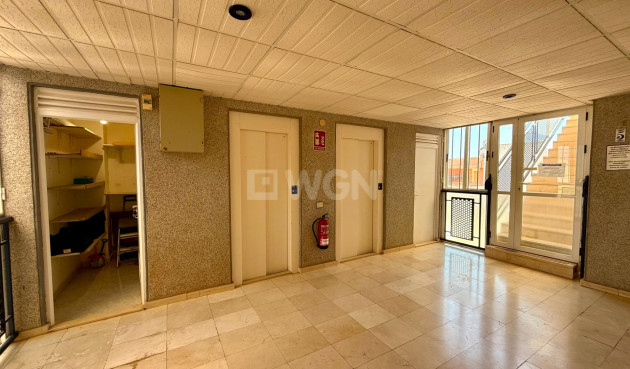 Odsprzedaż - Daszek - Torrevieja - Habaneras