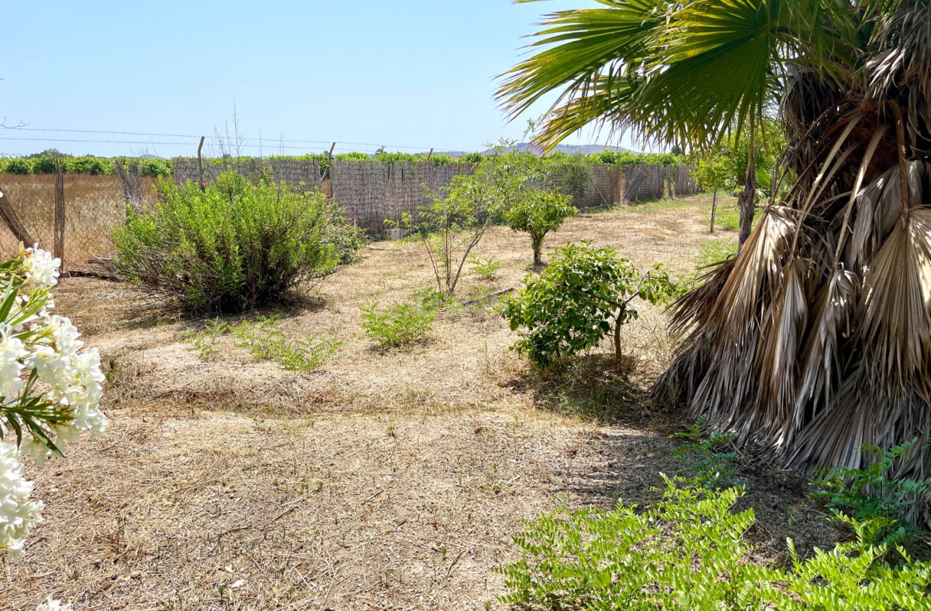 Odsprzedaż - Villa - Daya Nueva - Costa Blanca