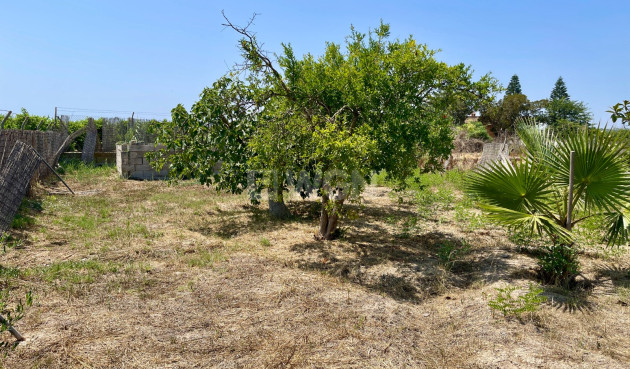Odsprzedaż - Villa - Daya Nueva - Costa Blanca