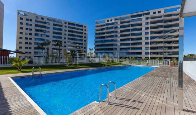 Odsprzedaż - Mieszkanie w bloku - Torrevieja - Costa Blanca