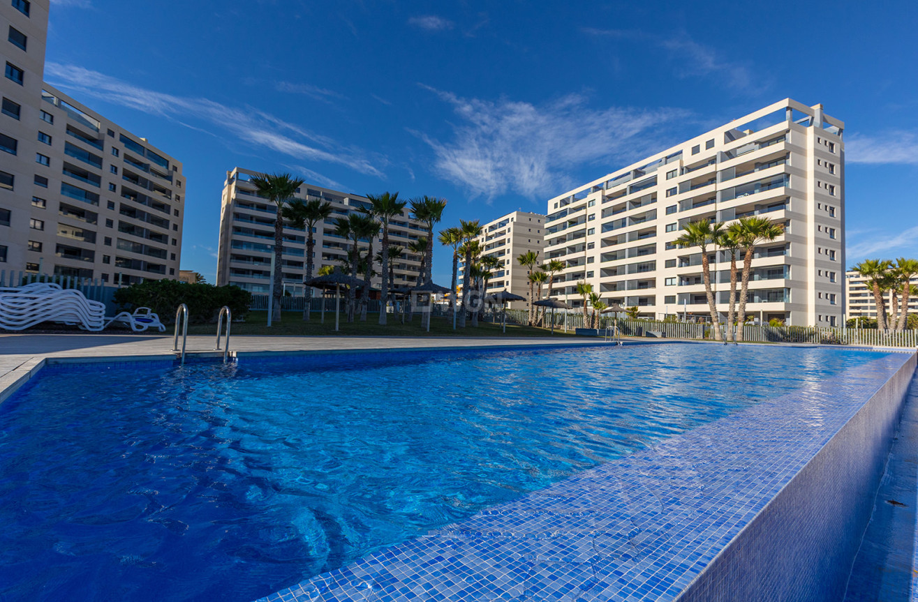 Odsprzedaż - Mieszkanie w bloku - Torrevieja - Costa Blanca