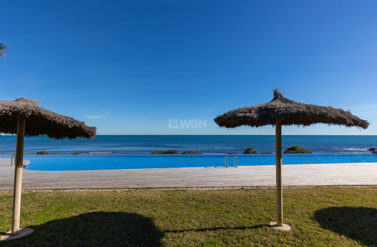 Odsprzedaż - Mieszkanie w bloku - Torrevieja - Costa Blanca