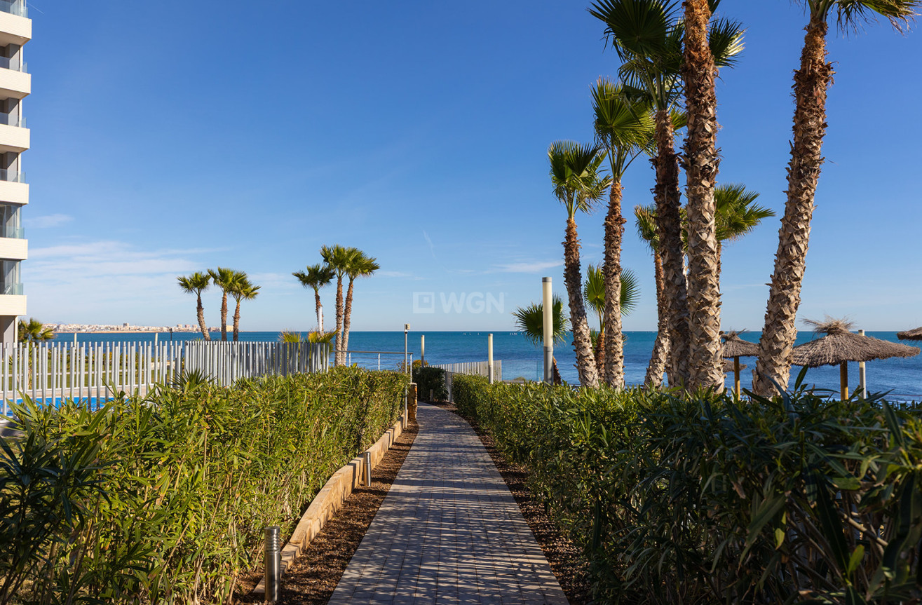 Odsprzedaż - Mieszkanie w bloku - Torrevieja - Costa Blanca