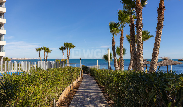 Odsprzedaż - Mieszkanie w bloku - Torrevieja - Costa Blanca