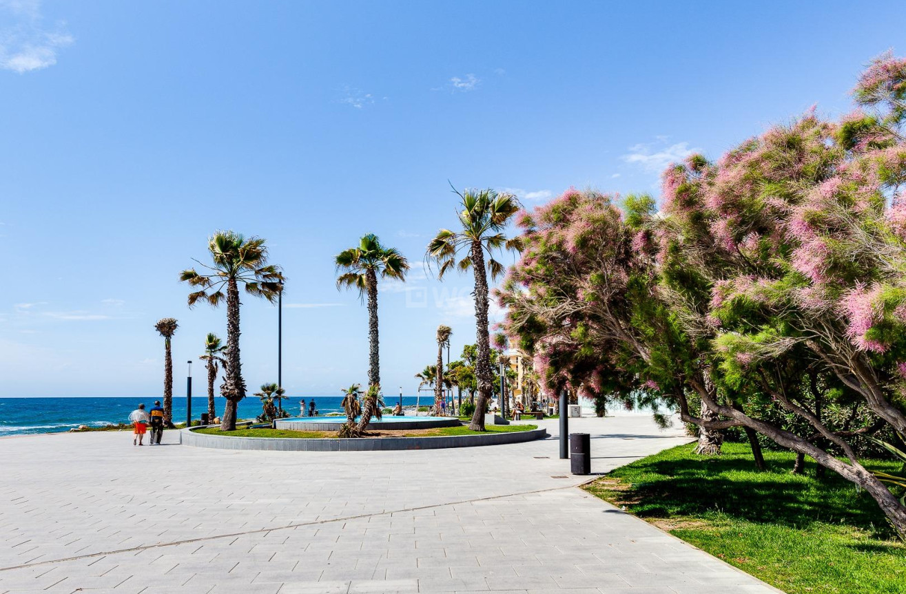 Odsprzedaż - Mieszkanie w bloku - Torrevieja - Estacion De Autobuses