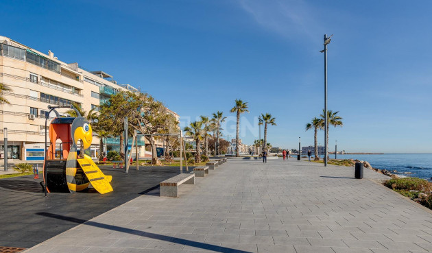 Odsprzedaż - Mieszkanie w bloku - Torrevieja - Estacion De Autobuses