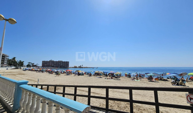 Odsprzedaż - Mieszkanie w bloku - Torrevieja - Playa de los Locos
