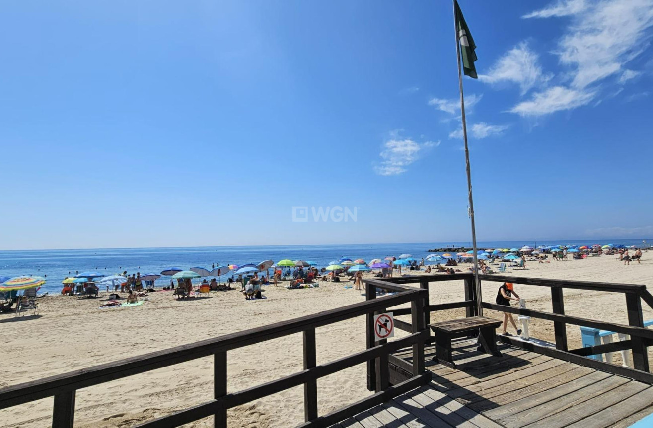 Odsprzedaż - Mieszkanie w bloku - Torrevieja - Playa de los Locos