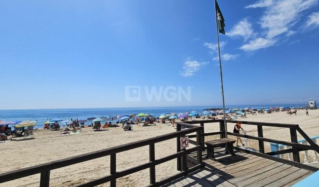 Odsprzedaż - Mieszkanie w bloku - Torrevieja - Playa de los Locos