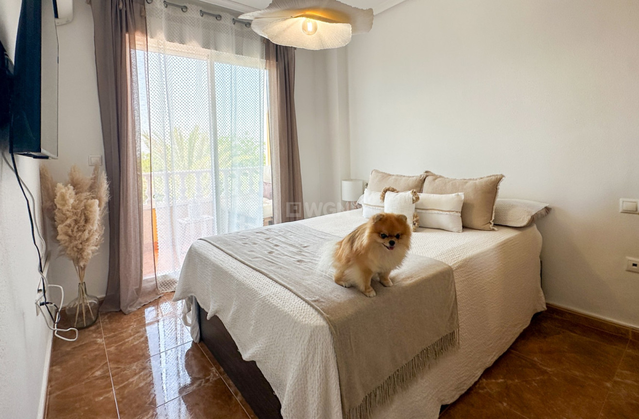 Odsprzedaż - Mieszkanie w bloku - Guardamar del Segura - Costa Blanca