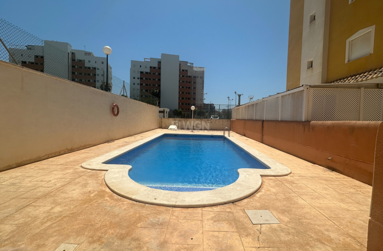 Odsprzedaż - Mieszkanie w bloku - Guardamar del Segura - Costa Blanca