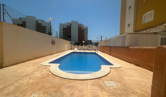 Odsprzedaż - Mieszkanie w bloku - Guardamar del Segura - Costa Blanca