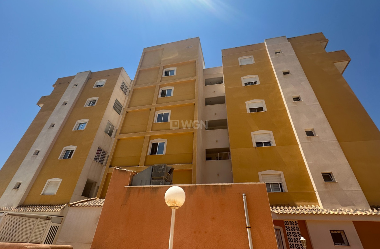 Odsprzedaż - Mieszkanie w bloku - Guardamar del Segura - Costa Blanca