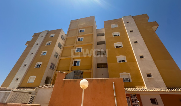 Odsprzedaż - Mieszkanie w bloku - Guardamar del Segura - Costa Blanca