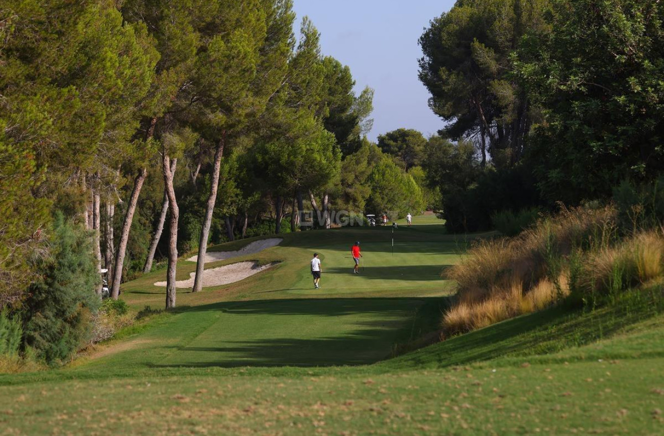 Nowy budynek - Villa - Orihuela - Las Colinas Golf