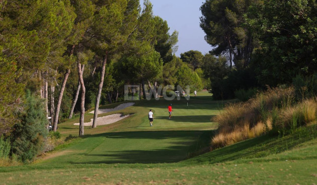 Nowy budynek - Villa - Orihuela - Las Colinas Golf