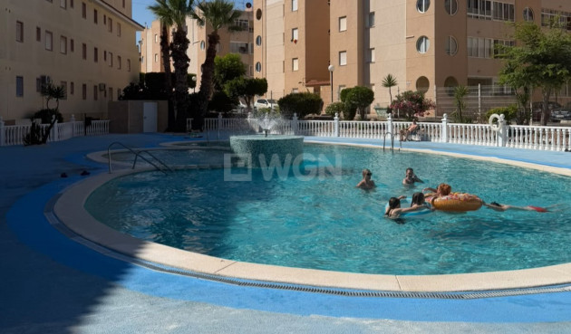 Odsprzedaż - Mieszkanie w bloku - Torrevieja - Costa Blanca