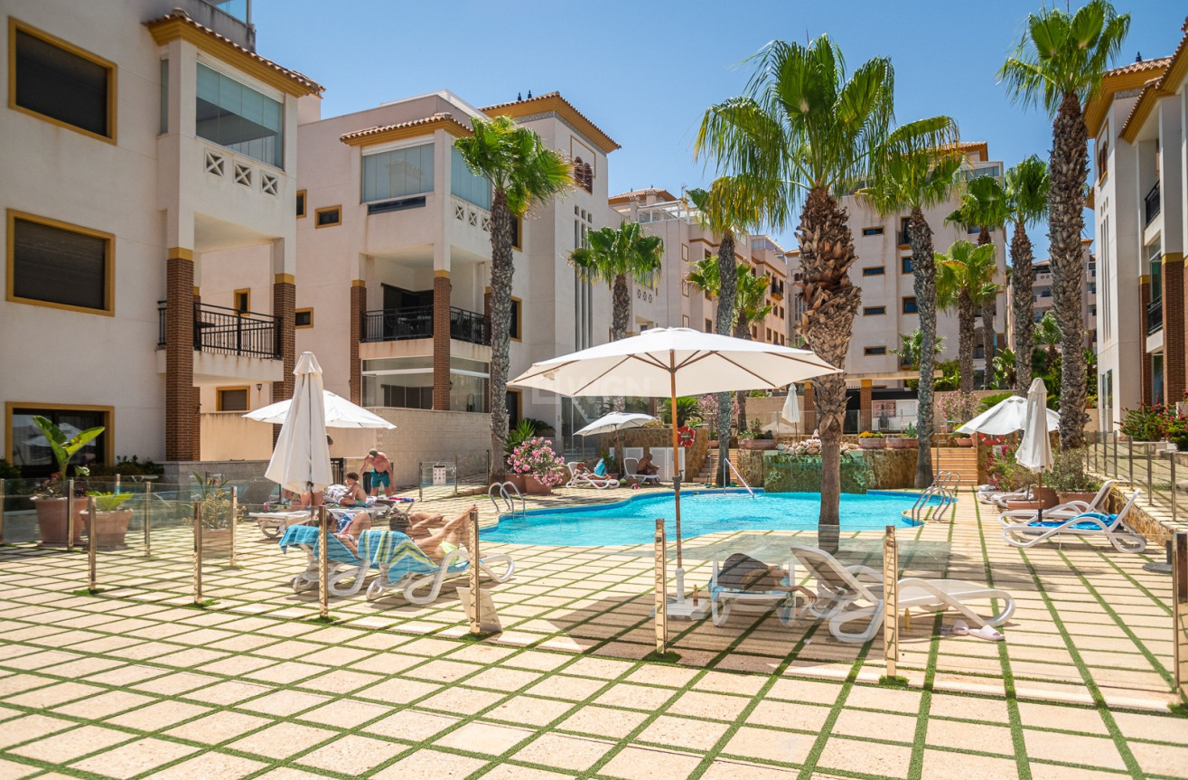 Odsprzedaż - Mieszkanie w bloku - Guardamar del Segura - Costa Blanca