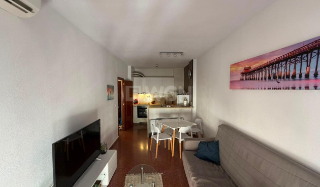 Odsprzedaż - Mieszkanie w bloku - Torrevieja - Habaneras