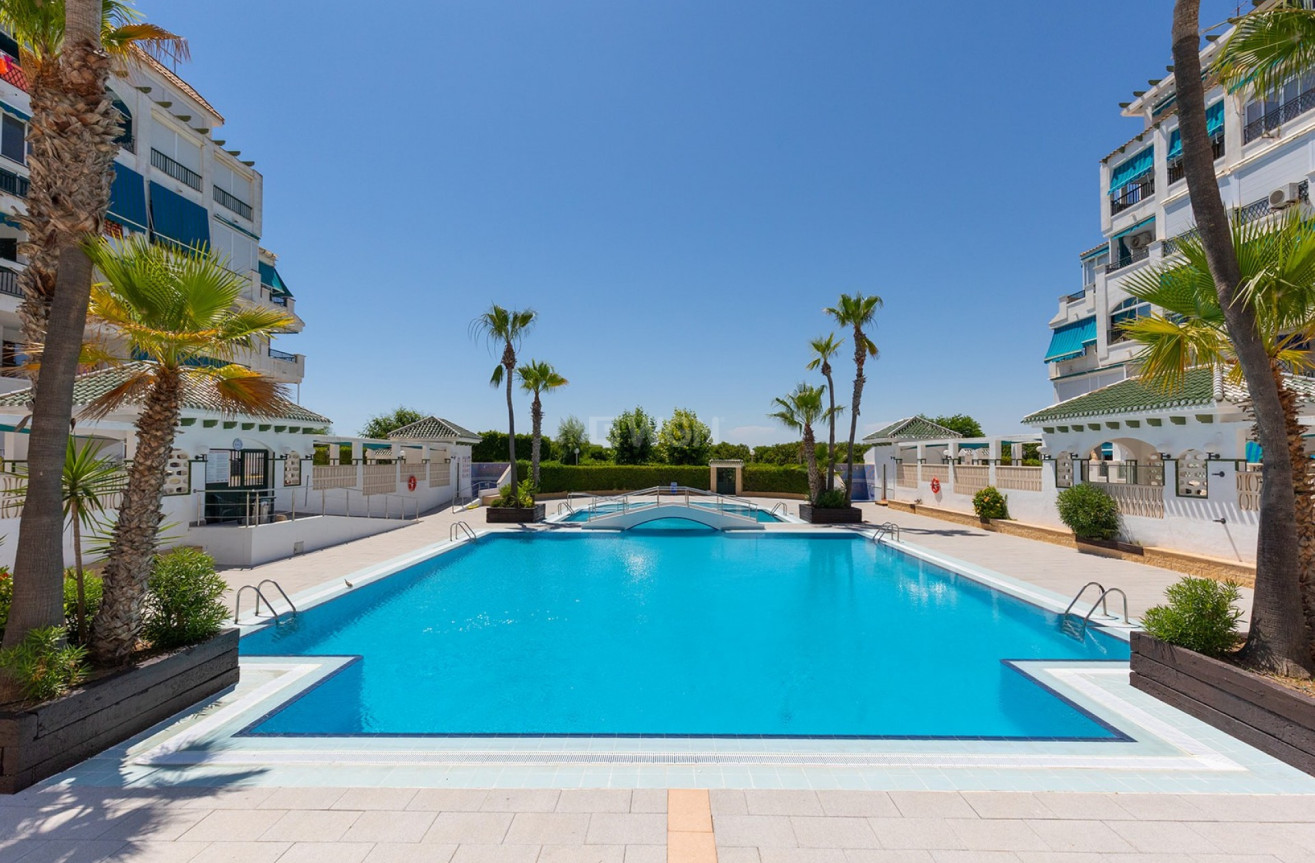 Odsprzedaż - Mieszkanie w bloku - La Mata - Costa Blanca