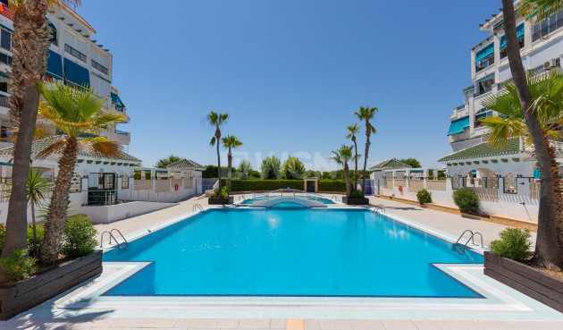 Odsprzedaż - Mieszkanie w bloku - La Mata - Costa Blanca