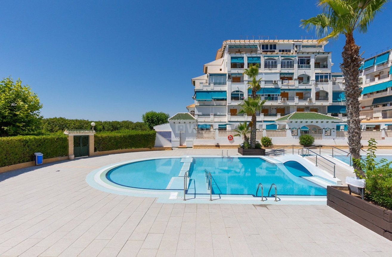 Odsprzedaż - Mieszkanie w bloku - La Mata - Costa Blanca