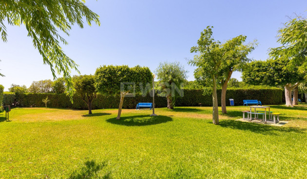 Odsprzedaż - Mieszkanie w bloku - La Mata - Costa Blanca