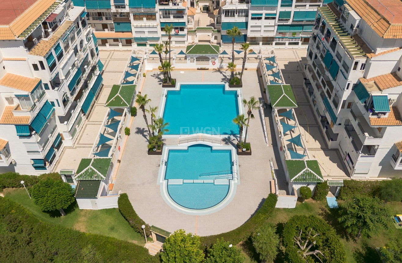 Odsprzedaż - Mieszkanie w bloku - La Mata - Costa Blanca
