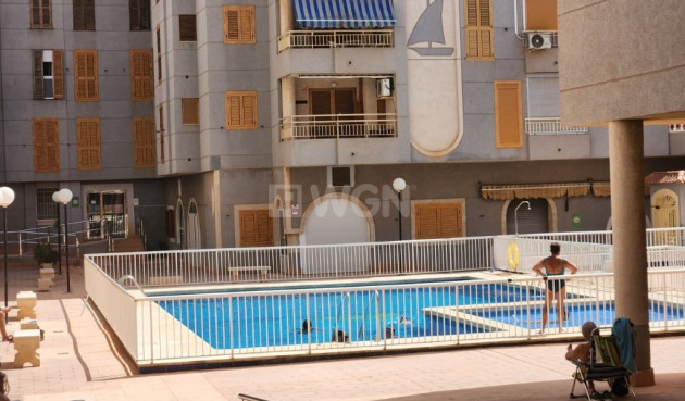 Odsprzedaż - Mieszkanie w bloku - Torrevieja - Costa Blanca