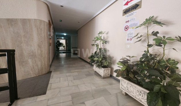 Odsprzedaż - Mieszkanie w bloku - Torrevieja - Costa Blanca