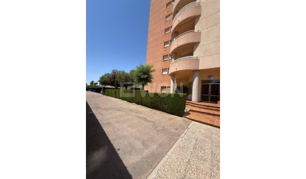 Odsprzedaż - Mieszkanie w bloku - Orihuela Costa - Campoamor