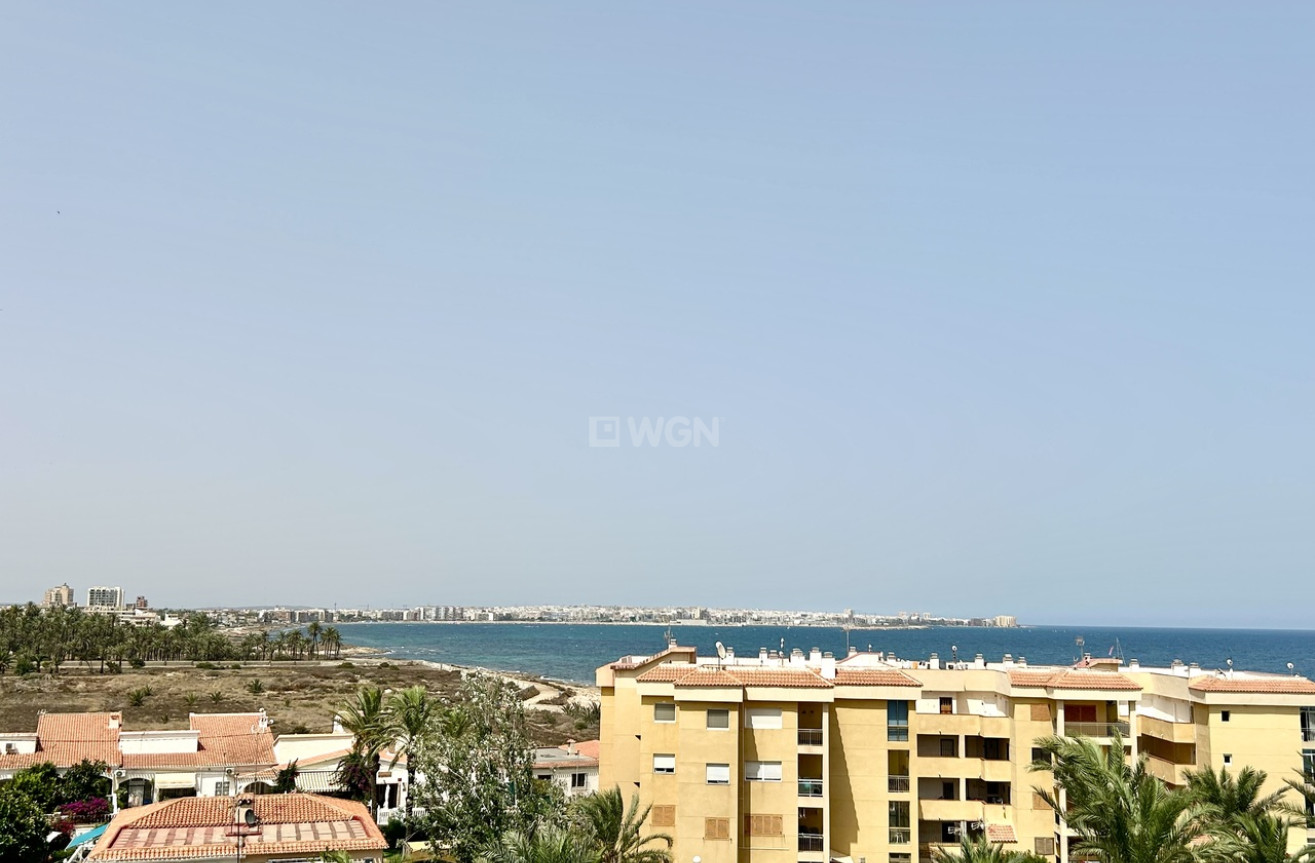 Odsprzedaż - Mieszkanie w bloku - Punta Prima - Costa Blanca