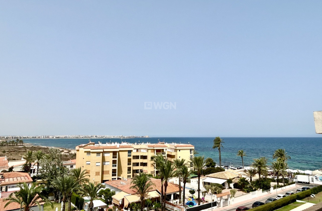 Odsprzedaż - Mieszkanie w bloku - Punta Prima - Costa Blanca