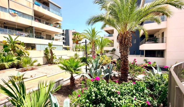 Odsprzedaż - Mieszkanie w bloku - Orihuela Costa - Costa Blanca