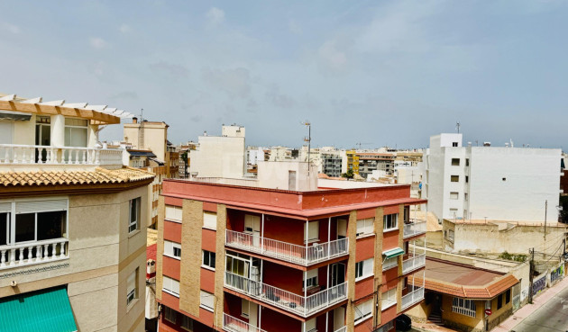 Reventa - Apartamento / piso - Torrevieja - Acequion