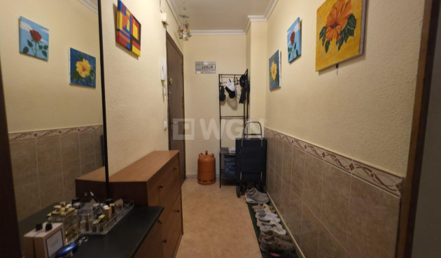 Odsprzedaż - Mieszkanie w bloku - Torrevieja - Playa del Cura