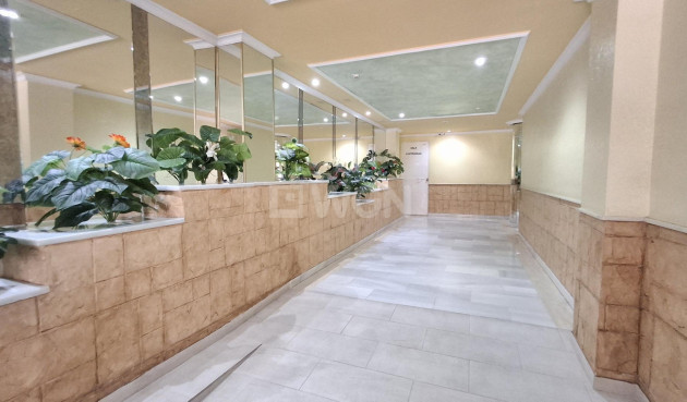 Resale - Apartment / flat - Torrevieja - Estacion De Autobuses
