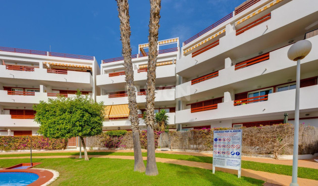 Reventa - Apartamento / piso - Orihuela Costa - Playa Flamenca