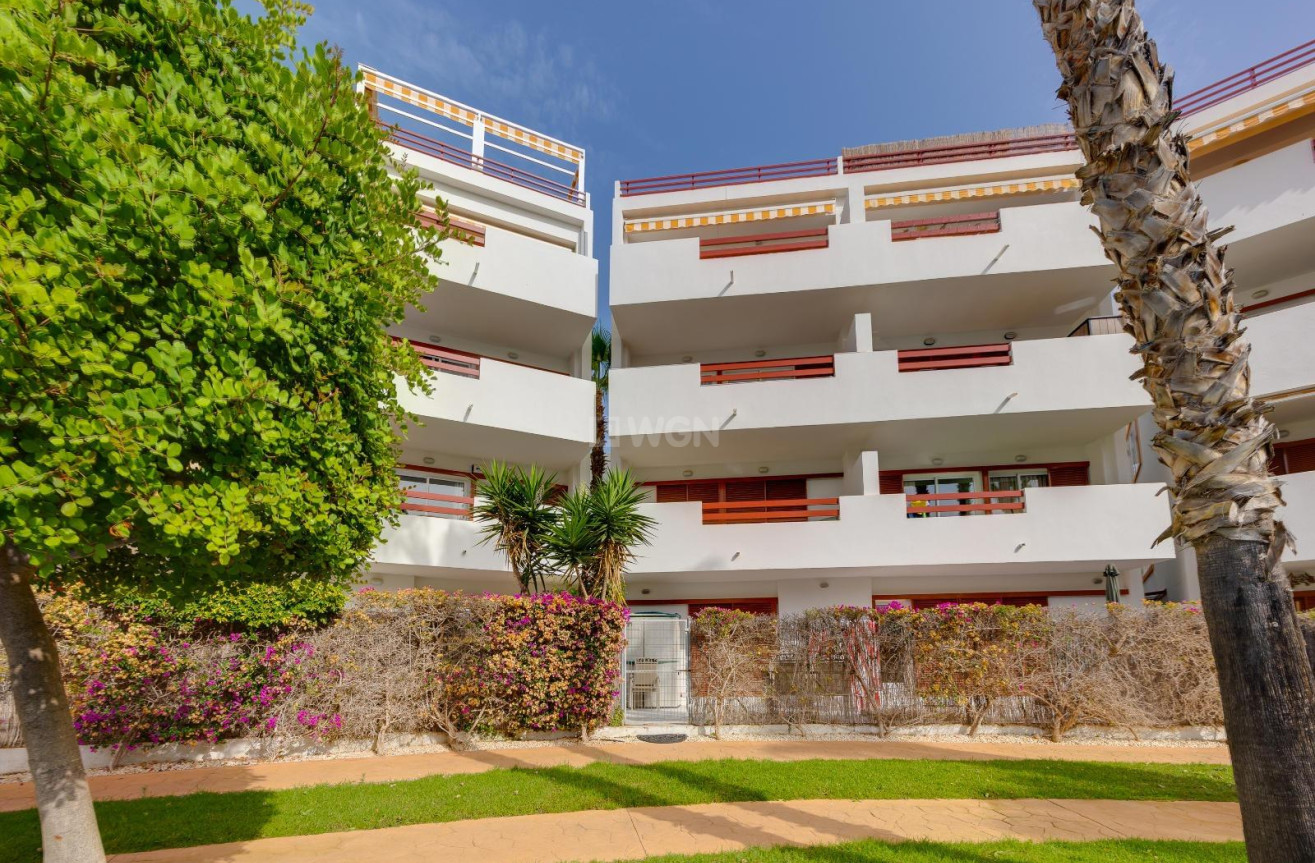 Reventa - Apartamento / piso - Orihuela Costa - Playa Flamenca