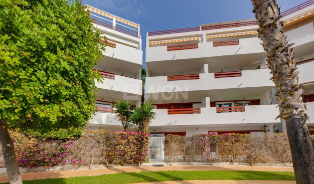 Reventa - Apartamento / piso - Orihuela Costa - Playa Flamenca