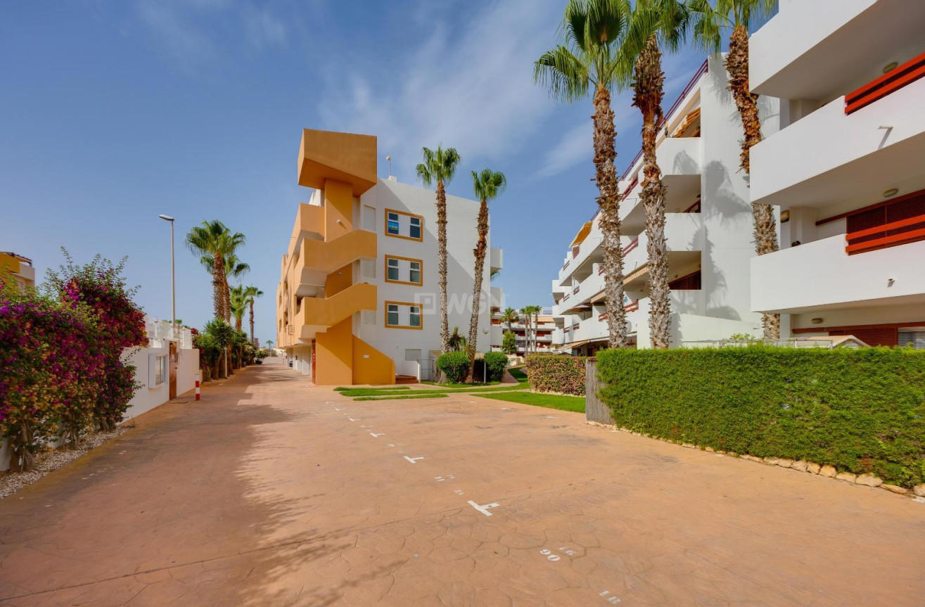 Reventa - Apartamento / piso - Orihuela Costa - Playa Flamenca